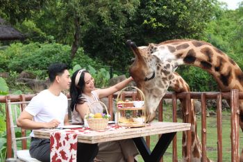 Baobab Safari Resort tawarkan "Legendary Circus" di malam Tahun Baru 2023