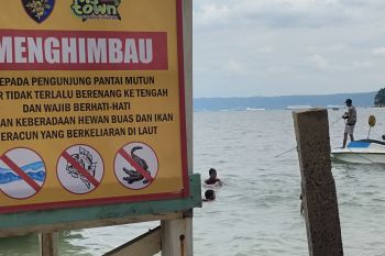 Pemkot Bandarlampung minta masyarakat waspadai buaya