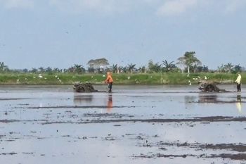 DPRD bantu komunikasikan terkait pembelian kredit mesin panen