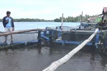 DPRD harapkan PPL Pertanian dan perikanan turun langsung kelapangan