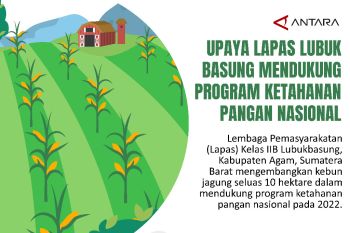 Upaya Lapas Lubuk Basung mendukung program ketahanan pangan nasional