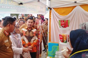 Dorong UMKM mandiri, Pemkab gelar Solok Selatan Expo