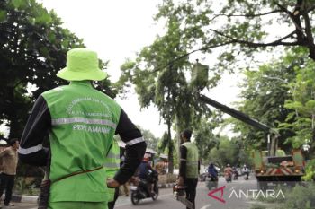 Warga diimbau hindari berteduh dibawah pohon saat hujan deras