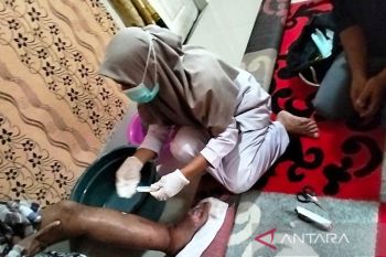 Dinkes selidiki penyakit kaki gajah di Koltim