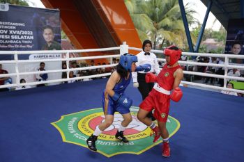 Tinju Sulsel targetkan medali emas Popnas XVI di Palembang