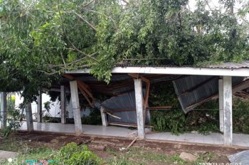 Pemkab Flotim data kerusakan dan siapkan bantuan untuk korban angin kencang