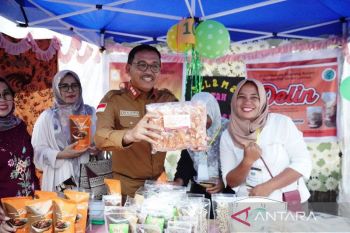 Solok Selatan siapkan dua lokasi pusat kuliner dan oleh-oleh