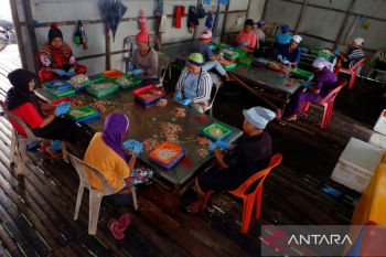 Realisasi pinjaman subsidi UMKM di Kepri pada 2022 capai Rp14 miliar