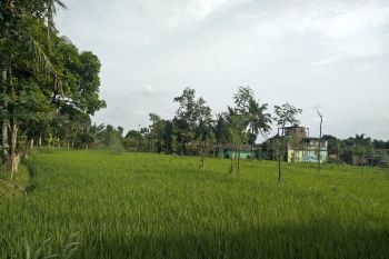 Stok pupuk bersubsidi di Lombok Tengah pada 2023 masih aman