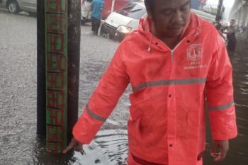BPBD DKI data 28 RT terdampak banjir