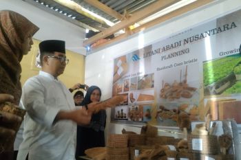 Pj Gubernur Sulbar dorong generasi muda kembangkan usaha kreatif