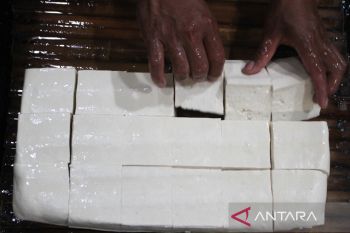 Dampak kenaikan harga kedelai impor