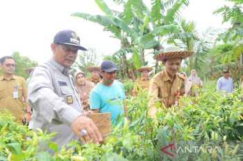 Desa Tayur simpan potensi agrowisata