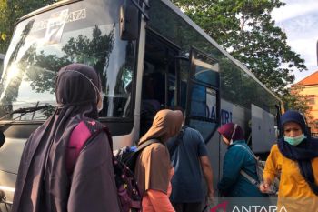 Penumpang AKAP ke Bali melonjak saat libur Nataru