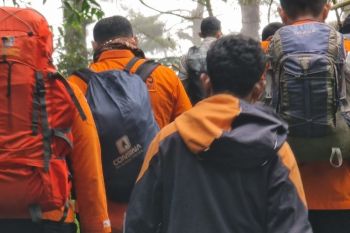 Basarnas Padang nyatakan 164 pendaki telah turun dari Marapi