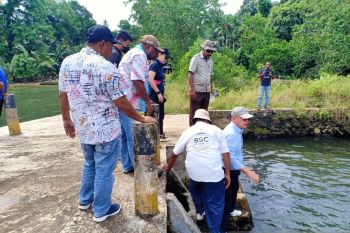 Biak Numfor siapkan 888 hektare lahan untuk budidaya udang vaname