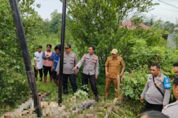 Polisi sebut 2 pekerja proyek Telkom di Konawe tewas tersengat listrik