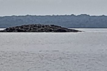 Usai gempa, sebuah pulau muncul di Kepulauan Tanimbar Maluku