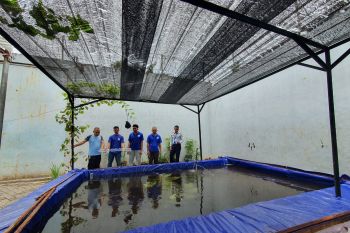 Rutan Makassar dorong kemandirian WBP dengan budi daya lele