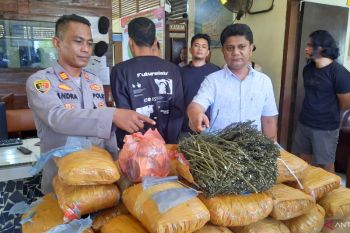 Polisi temukan 36 kg ganja di perpustakaan SDN Padang Pariaman