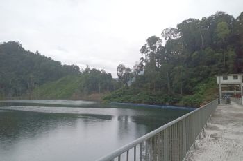 Dempo pastikan PLTM tidak menggangu kelestarian ikan