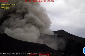 Gunung Marapi di Sumatera Barat erupsi 800 meter