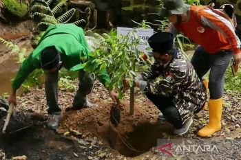 Gerakan konservasi tanah dan air di Temanggung targetkan tanam 120.000 bibit