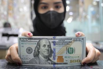 Pemerintah mendorong masuknya investasi asing karena ada tekanan suku bunga