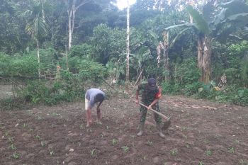 Koramil Supiori Selatan bantu warga Odori bersihkan rumput liar