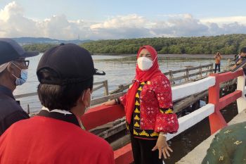 Pemkot Bandarlampung pastikan pembangunan Jembatan Pulau Pasaran dilanjutkan