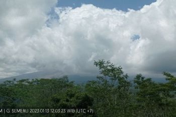 Gunung Semeru erupsi kembali
