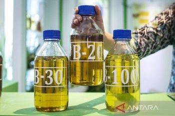 Implementasi bahan bakar nabati jenis biodiesel dorong bisnis sawit berkelanjutan