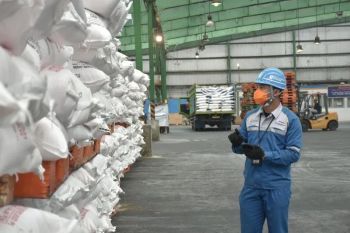 Pusri siapkan stok pupuk guna dukung program ketahanan pangan nasional