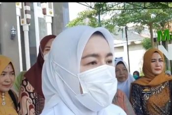 Wakil Wali Kota Palembang ajak warga galakkan pemberantasan sarang nyamuk DBD
