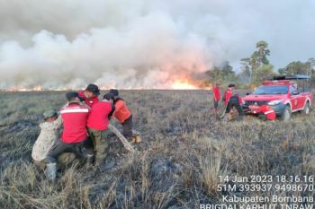 Kawasan savana Taman Nasional RAW di Sultra terbakar