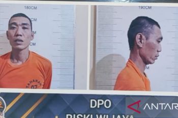 Polisi tangkap buron pemilik kebun ganja satu hektare di Empat Lawang