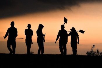 Mongolia laporkan kemajuan yang signifikan dalam upaya pengendalian pasir