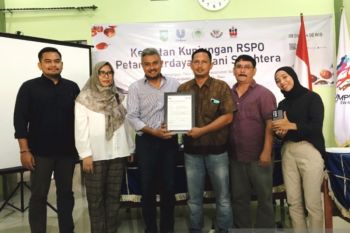 Petani sawit  di Inhu didorong lakukan sertifikasi
