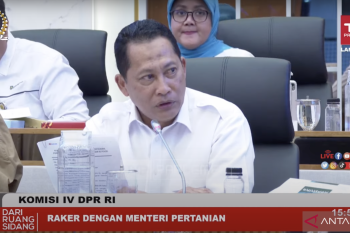 Dirut Bulog: Tidak ada lagi impor beras pada Maret 2023