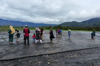 Lahar dingin Gunung Kerinci timbun 10 hektare sawah warga
