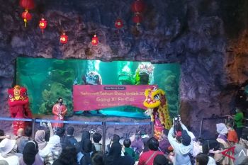 Sambut Imlek, Ancol gelar Lunar Festival hingga Barongsai