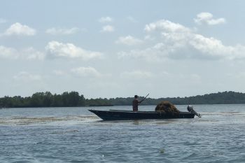 Pemprov Kepri daftarkan 38 ribu nelayan jadi peserta program BPJAMSOSTEK