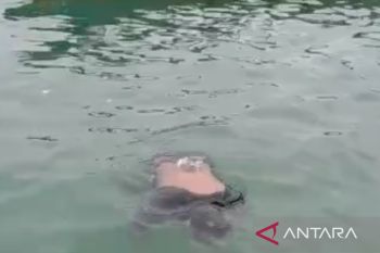 Polisi evakuasi jasad pria mengapung di perairan Kota Tanjungpinang