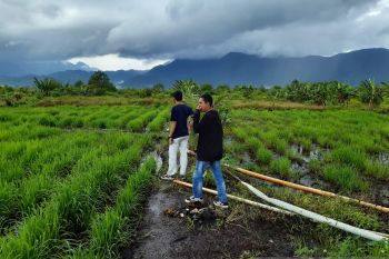 BPS Kepri kurangi petugas Sensus Pertanian