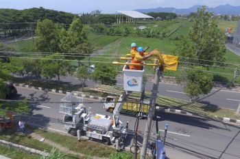 Tips aman dari PLN untuk warga NTB di sekitar jaringan listrik