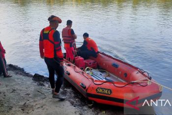 Tim Basarnas Pasaman lanjutkan pencarian korban diterkam buaya