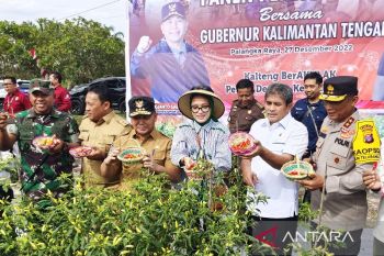 Gencar lakukan intervensi dan mitigasi, Kalteng berhasil kendalikan inflasi