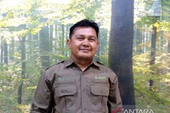 BPDASHL Barito produksi 1 juta bibit pohon rehabilitasi hutan dan lahan