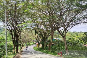 Pemkab Simeulue perluas ruang terbuka hijau