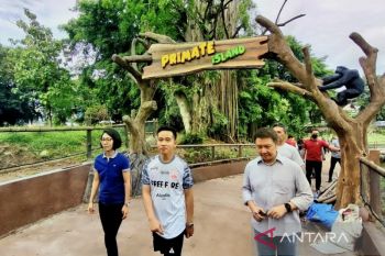 Solo Safari mulai direvitalisasi tahap kedua pada Juni